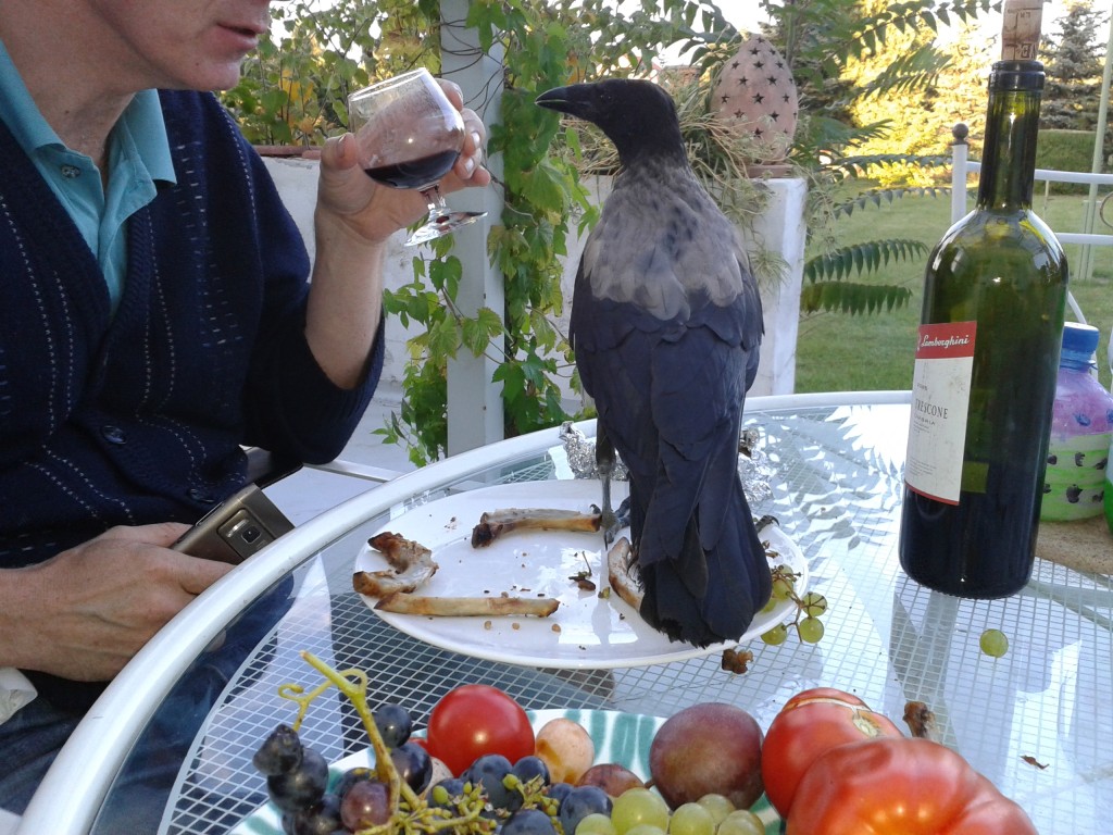 Charlie giert nach Rotwein