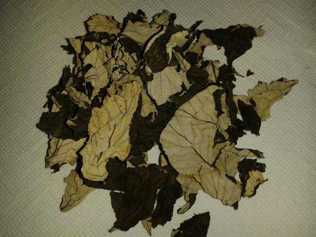 Fermentierte Himbeerblätter