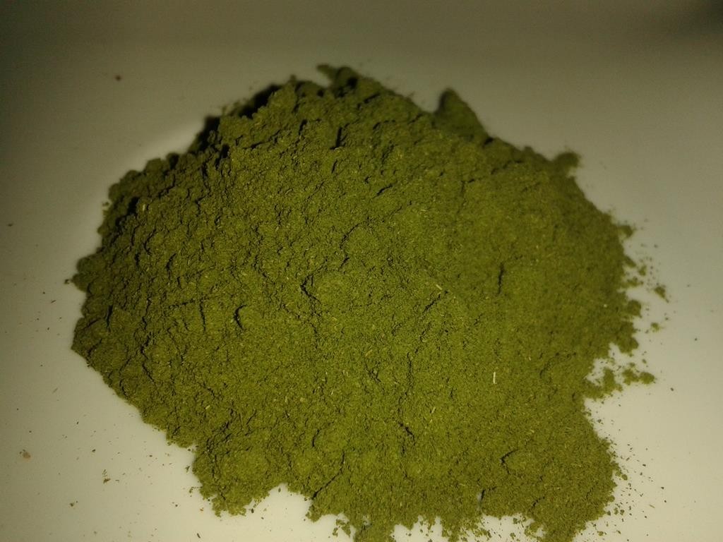 Moringa-Pulver