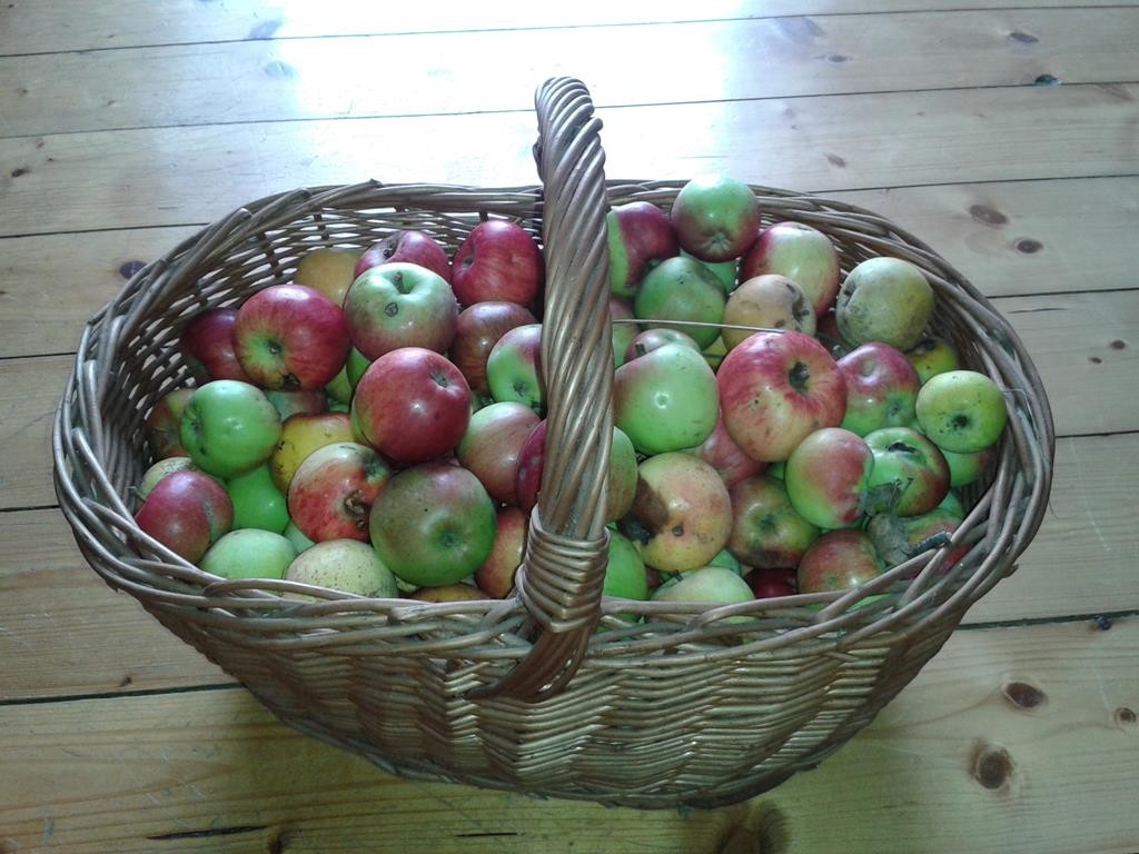 Korb mit Äpfeln