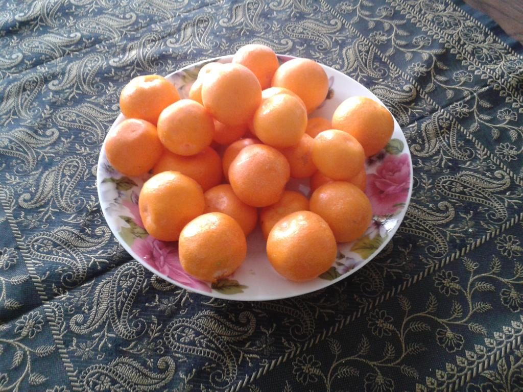 Mandarinenernte