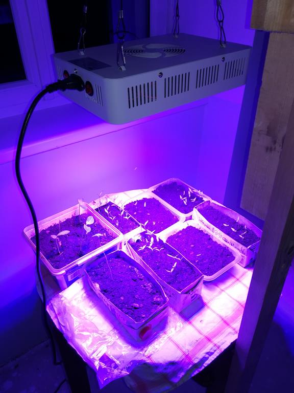 LED Growpanel